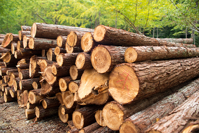 木材」と「材木」の違いとは - 違いがわかる事典